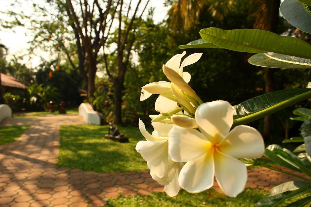 Secret Garden Chiangmai Hotel San Kamphaeng Exterior photo